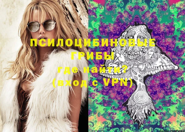 PSILOCYBIN Абинск
