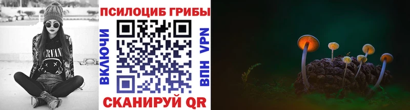 Галлюциногенные грибы Psilocybe Уварово