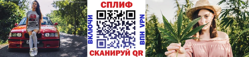 дарнет шоп  Уварово  Шишки марихуана OG Kush 